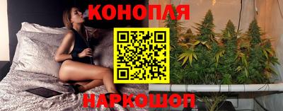 a pvp Камышлов