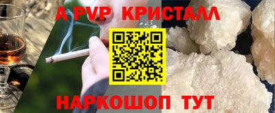 a pvp Камышлов
